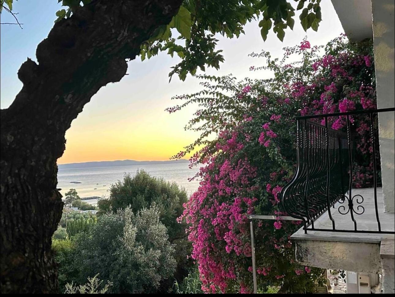 Villa Pinelopi Kalamata Exterior photo